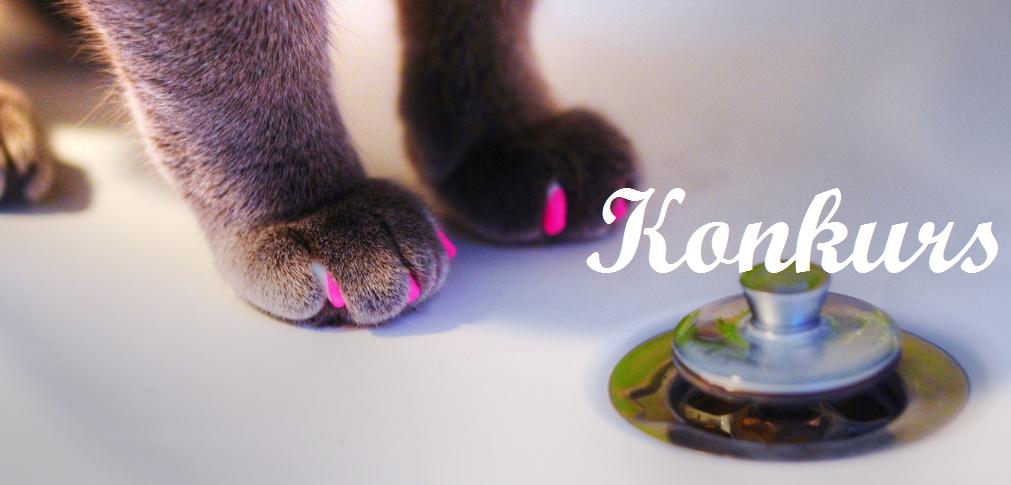 KONKURS „Koci łapci”